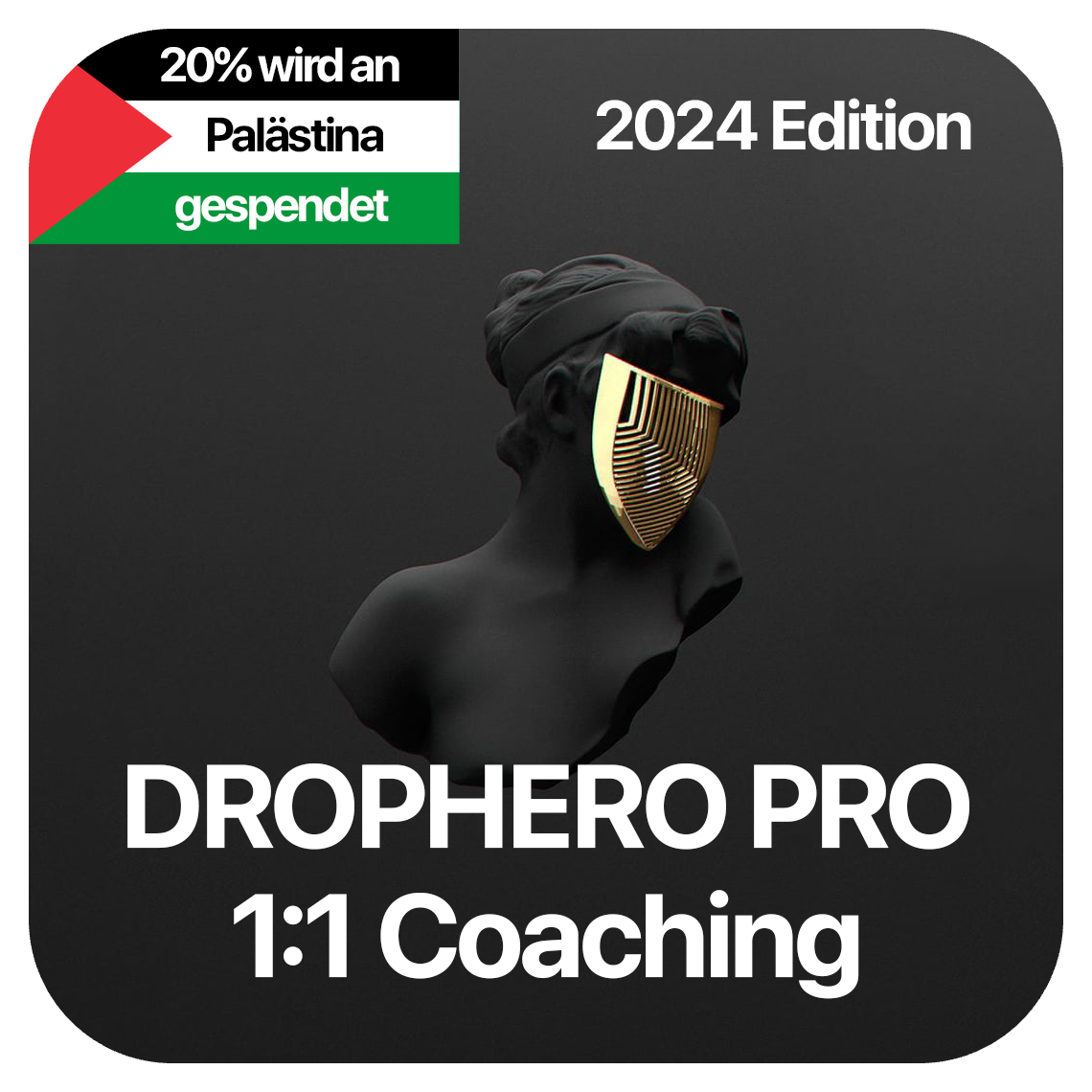 Drophero Pro 1:1 Coaching